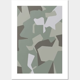 Graphic camo Posters and Art